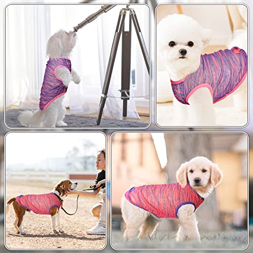 2 Pack Dog Shirts Cute Soft Vest For Puppy And Cat Quick Dry Breathable Summer Pet Apparel Clothing For Small Medium Girl Boy, Small #TOP3