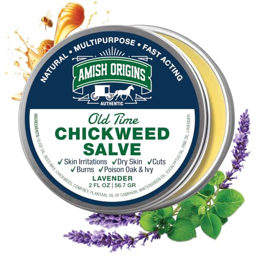 Amish Origins Old Time Chickweed Salve 2 oz- The Ultimate Poison Ivy/Poison Oak Blocker Healing Salve for Skin Disorder Irritations Burns Minor Cuts