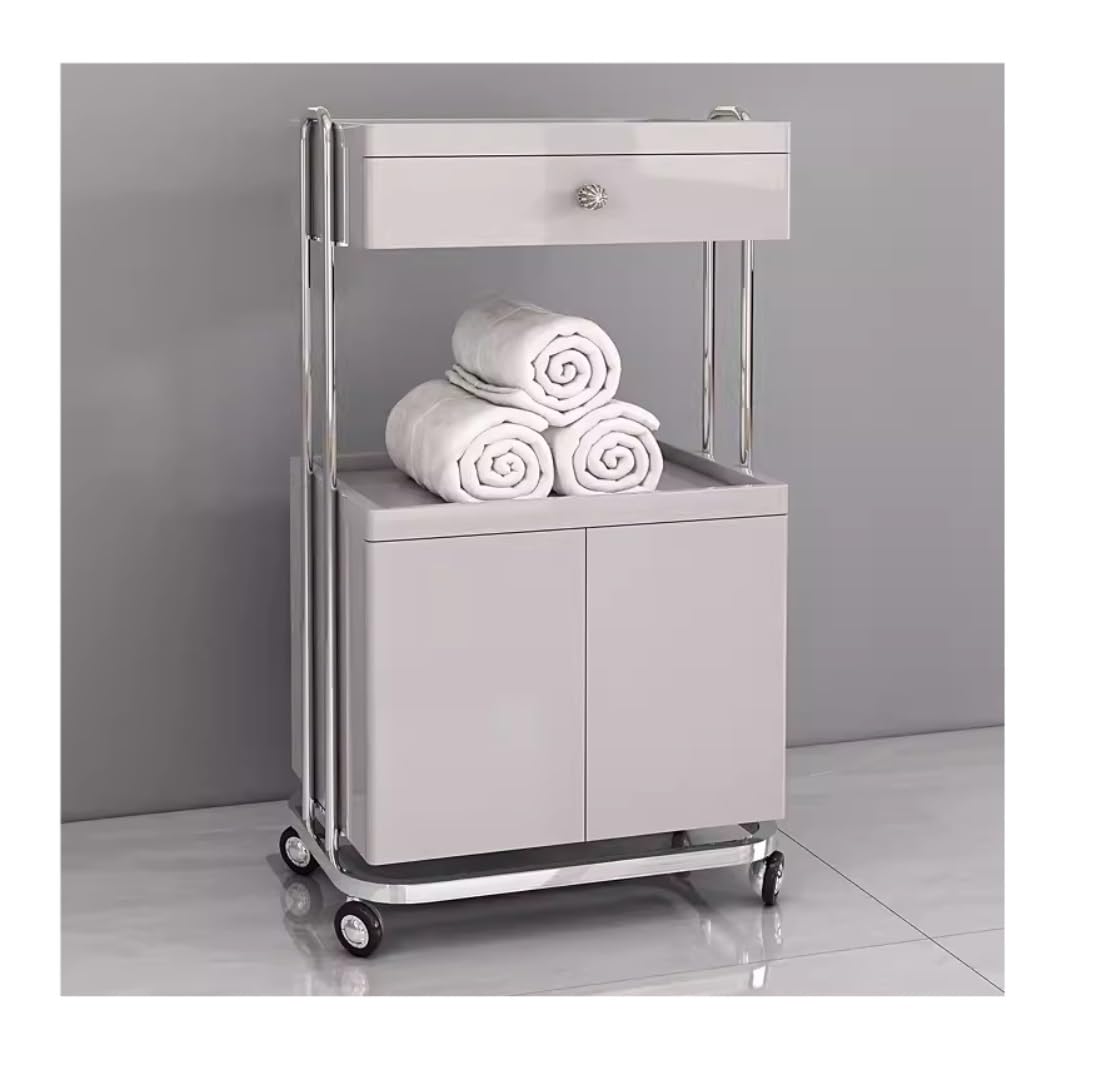 Carrello Beauty Carrello per Salone di Bellezza A 2 Livelli con Cassetto E Ante dell'Armadio Mobile Ruote per Parrucchiere Hair Stylist(Silver+Gray)