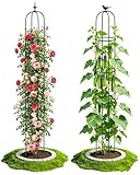 2PCS Garden Trellis for Climbing Plants, 6.2FT Rustproof Metal Pipe with Heavy Duty Plastic Coated, Garden Outdoor Indoor Potted Plant Support, Obelisk Garden Trellis for Climbing Vine (Green)