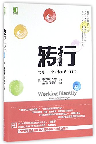 Working Identity: Unconventional Strategies (Ch... [Chinese] 7111542630 Book Cover
