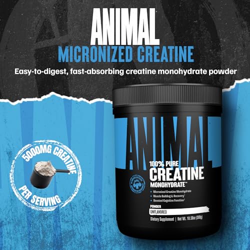 Animal Creatine Monohydrate Powder – Micronized Creatine for Women and Men, Supports Muscle Growth, Strength, Endurance, Recovery and ATP Production, Gym & Workout Supplements - Unflavored, 300g - Image 3