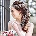 Produktbild PERFETSELL Haarschmuck Braut Haarband 100cm Lang Hochzeit Haardraht Silber Glitzer Kopfschmuck Haarranke Stirnbänder mit Kristall und Perlen Brautschmuck für Frauen, Mädchen und Freundin, Tochter