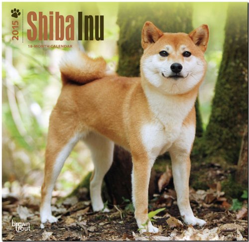 Shiba Inu 2015: Original BrownTrout-Kalender [Mehrsprachig] [Kalender] (Wall-Kalender)