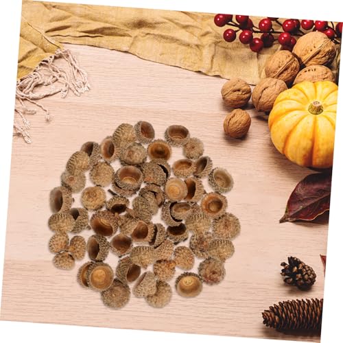 Set de 50 piezas de decoraciones de cáscara de bellota natural miniatura 5