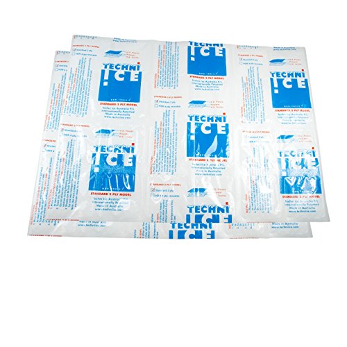 Techni Ice Standard 2 Ply Disposable/One to Two-time Use Dry Ice Replacement Sheets (2)