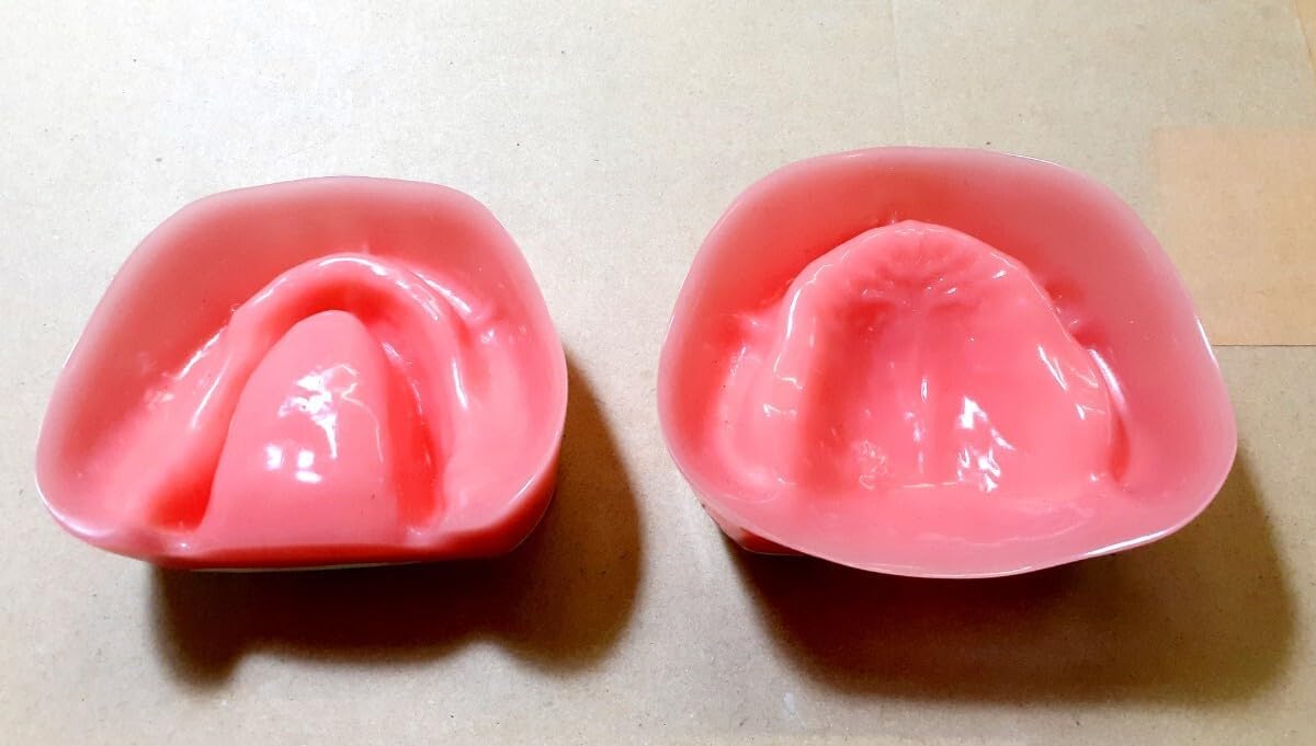 み NISSIN 無歯顎 G10-KG 印象採得実習模型 義歯 補綴 入れ歯 総義歯 み NISSIN 無歯顎 G10-KG 印象採得実習模型 義歯 補綴 入れ歯 総義歯