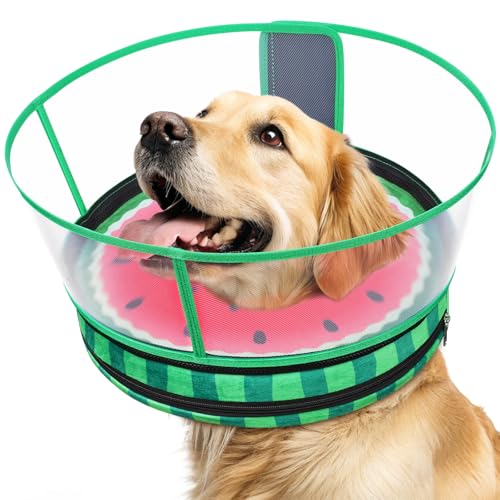 Image of Dog Cone, No-Inflation Sponge Donut Collar for Dogs After Surgery