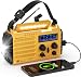 Emergency Solar Hand Crank AM/FM/SW/NOAA Weather Alert Battery Operated Portable Radio with Compass, 5W LED Flashlight, Reading Lamp, SOS Alarm, 2000mAh Power Bank for Cellphone Charger Home Camping