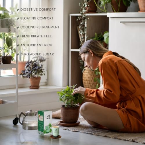 Image of HI TEA Mint Green Tea | Just Add Hot Water | Instant Green Tea Cups | 8 Cups /Box