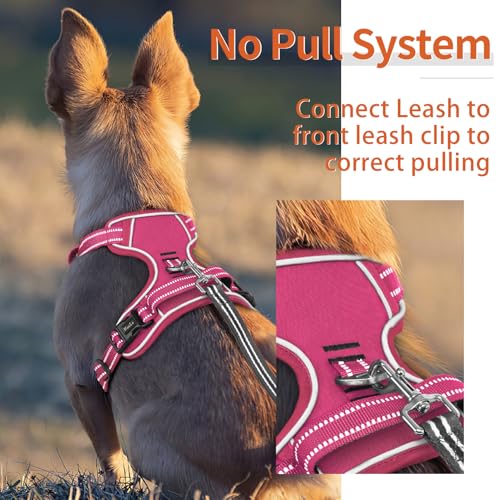 Image of HEELE Dog Harness for Large Dogs No Pull Dog Vest Harness for Large Dog with Soft Padded Handle Reflective for Outdoor Training, Rose(Matching Trim), L