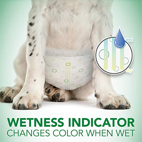Vet's Best Comfort Fit Hundewindeln – Einweg-Windeln für Hündinnen – saugfähig mit auslaufsicherer Passform – Größe L/XL (59,9–80,9 cm Taille) – 30 Stück