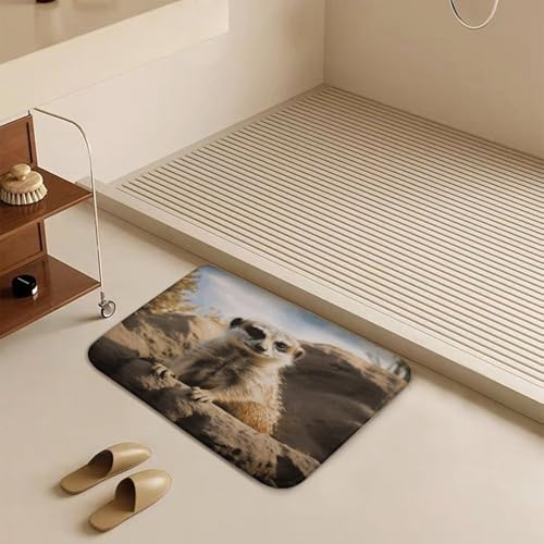 Felpudo de entrada 40 x 60 cm resistente y alfombra antideslizante con suricata para hogar 7
