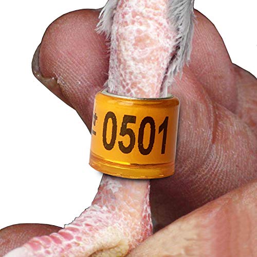 Pigeon Ring Customized Pigeon Band Personal Print 2021 Pigeon Foot Ring Leg ring Leg band 100pc