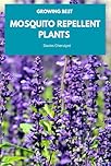 GROWING BEST MOSQUITO REPELLENT PLANTS