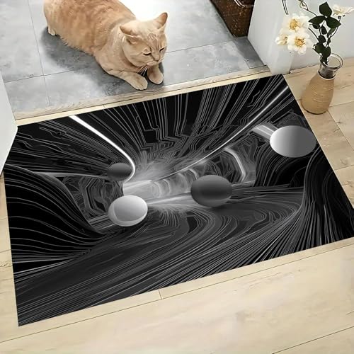 Tapis de qualité illusion visuelle 3D pour entrée moderne