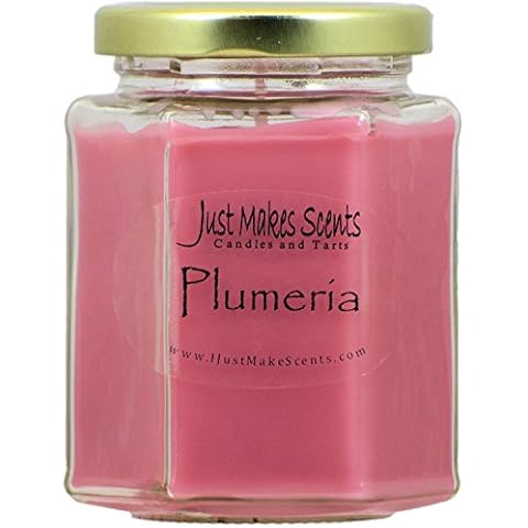 Plumeria Scented Blended Soy Candle | Long Lasting Tropical Floral Fragrance | Hand Poured in The USA by Just Makes Scents Cover