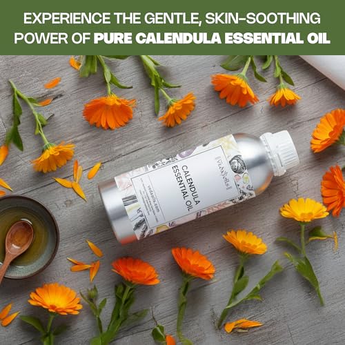 Image of VedaOils Calendula Essential Oil 100ml | 100% Pure & Natural Calendula Oil for Skin Care, Massage, Aromatherapy & Soothing Relief