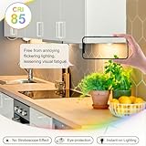 DiCUNO G4 LED Dimmable Light Bulbs 2W, 12V, 185LM, Warm White 2700K, Equivalent to 20W G4 Halogen Bulb, Bi-Pin Base, No Flicker Capsule Bulb for Chandelier Home Lighting Decor, 10 Pcs - Image 6