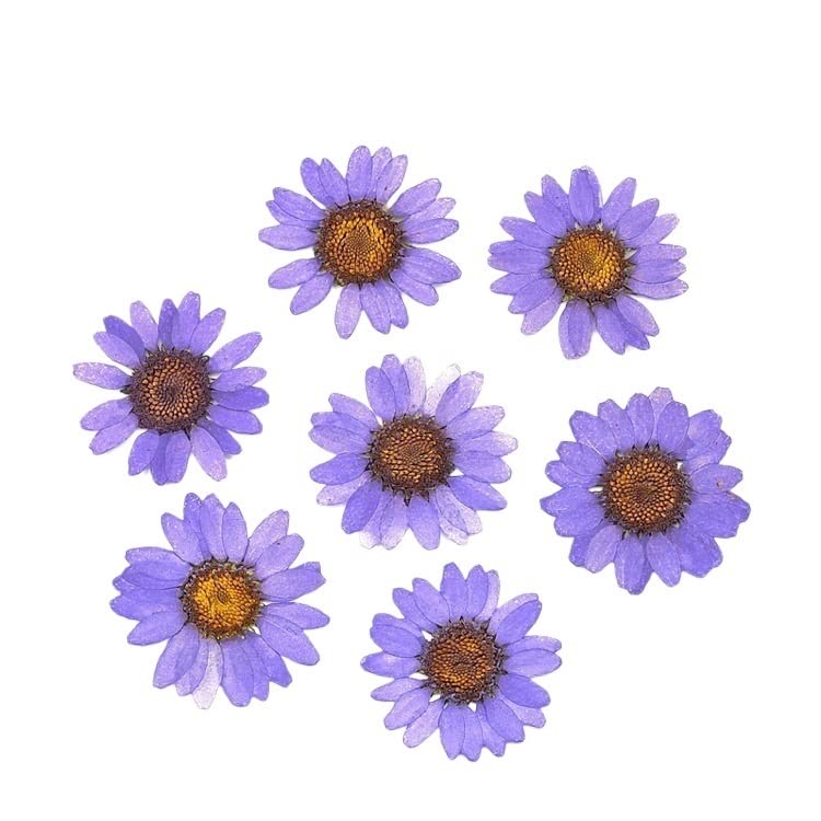 Flores prensadas secas para manualidades, 120 piezas