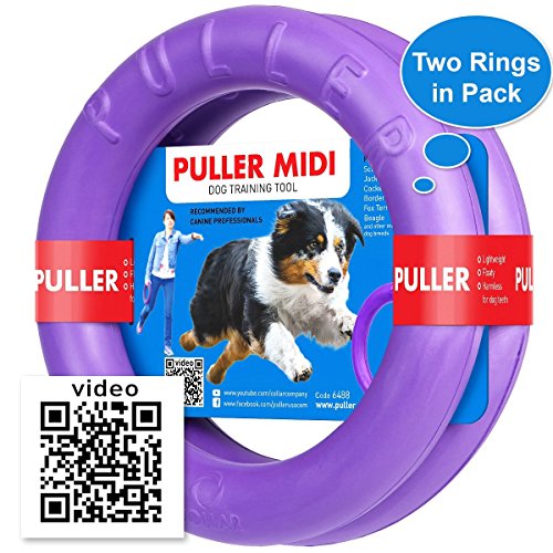 COLLAR Professional Dog Training Equipment and Bonus - Giant Medium K9 Large Dog Training Tool - Dog Supplies - Real Physical and Emotional Load Your Dog (Two Rings for S - M Size Dogs)