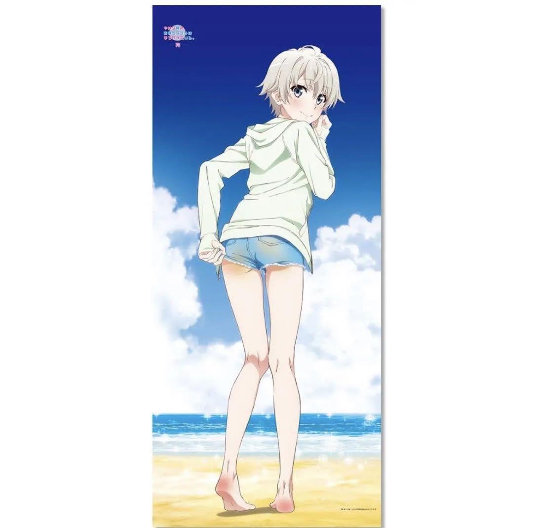 やはり俺の青春ラブコメはまちがっている 戸塚彩加 海辺ビキニ 色紙 Amazon.co.jp: 戸塚彩加 BIGタペストリー ビキニ 俺ガイル : おもちゃ