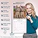 Weimaraner 2026 Calendar | Square Wall Calendar | Dog Breed Gift | Plastic Free Packaging | by Avonside Publishing