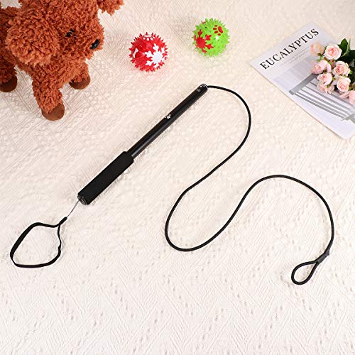 Creatief Bijtspeeltje Interactief Speelgoed Uitschuifbare Flirt Paal Grappige Chasing Teaser Sporter voor Huisdieren Honden Katten (Zwart Met Papieren en 2 stks Doek Toy Head) Grappig speelgoed - Image 8