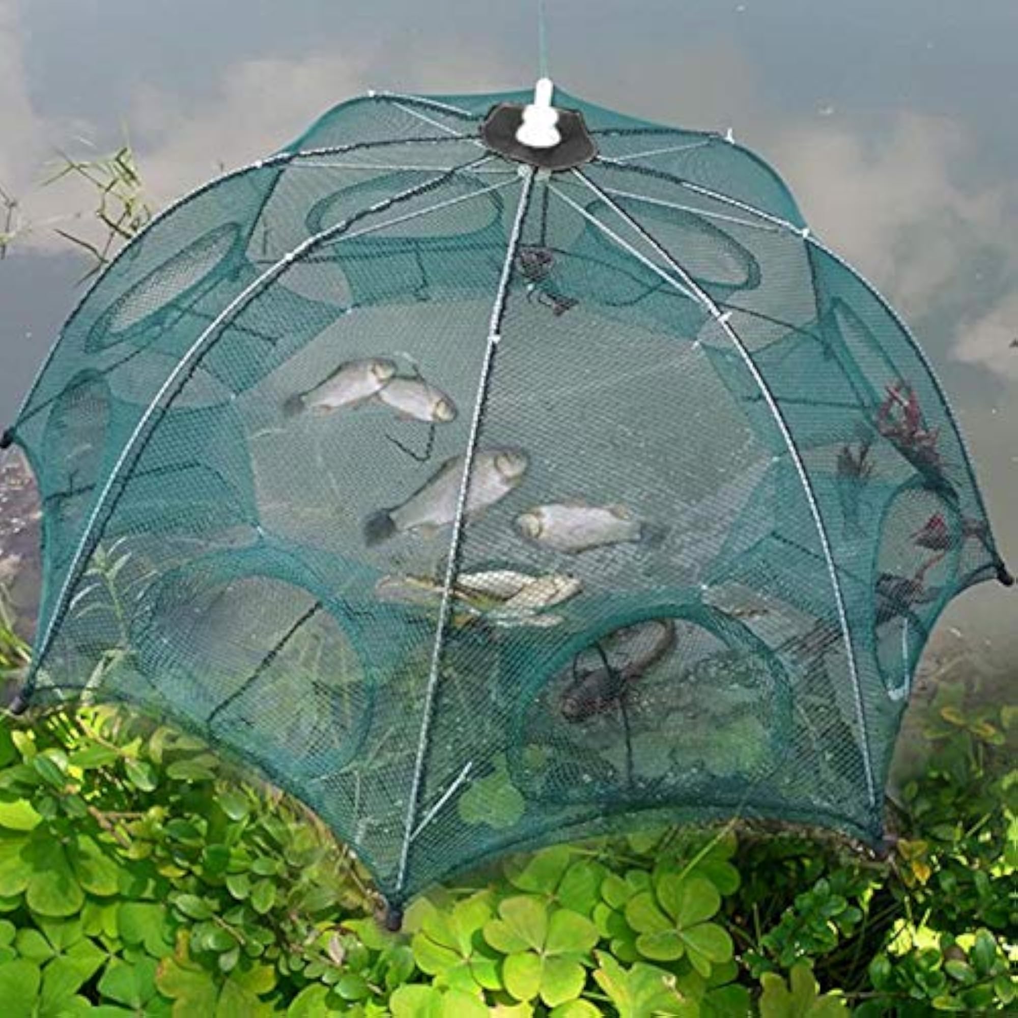 Fishing Dip Cage, Portable Outdoor Crab Net