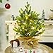 Lulu Home 2 Packs Pre-lit Artificial Mini Christmas Tree, 24 Inch Tabletop Battery Operated Norfolk Pine Tree with 50 LED Light and Burlap Wrap Base for Xmas Spring Decor
