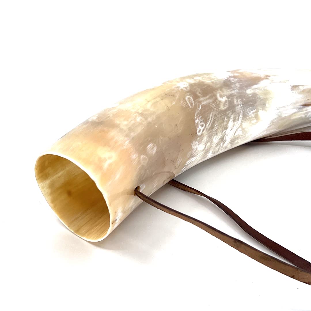 HORNCRAFT Bugle en corne de bœuf | Corne de guerre viking | Trompette sonore de combat | 33 cm | clairon poli léger | Chasse de style trompette | Parfait pour la reconstitution