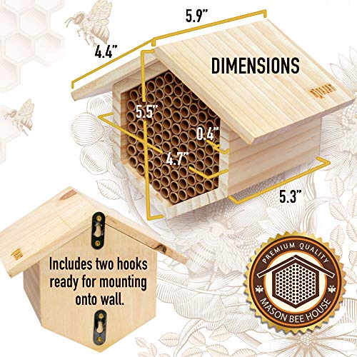 Rivajam Mason Bee House 2021 Design Wax Coated Nesting Bee Box 95