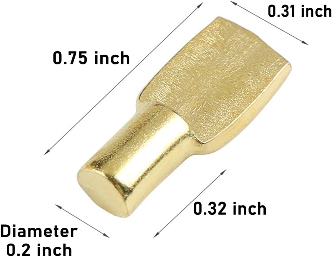30PCS 1/5 Inch 5mm Shelf Pins Polished Brass Spoon Shelf Support Pin Nickel Plated Shelf Pegs for Cabinets Wardrobes Bookcases