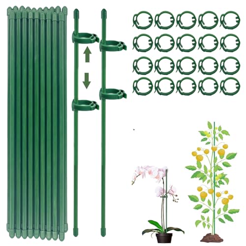 Tutores para Plantas con 20 Piezas, 40 Tapas Protectoras y 20 Clips - Kit de Enderezar para Orquídeas y Jardín (80PCS)