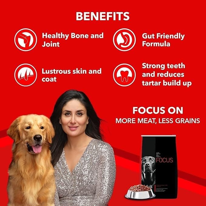Image of Dog Food Focus Adult Super Premium Dog Food, 12 kg (+1kg Extra Free Inside), Total 13 Kg