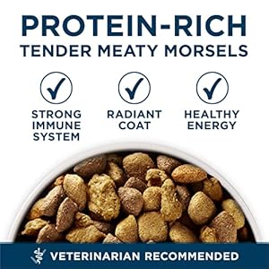 Purina ONE Plus Large Breed Adult Dog Food Dry Formula - 31.1 lb. Bag Purina ONE Plus Large Breed Adult Dog Food Dry Formula 311 lb Bag