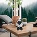 Imagen de Zoo Stuffed Animals