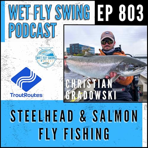 803 | Michigan Salmon and Steelhead with Christian Gradowski - TroutRoutes, Great Lakes