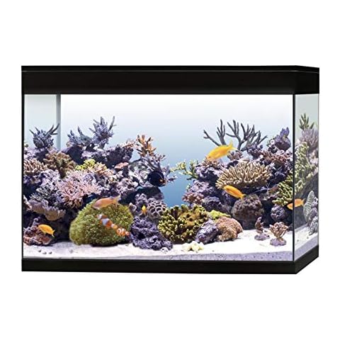 Askoll Aa350078 Aquarium Pure Marine High Cube Marino Komplettset Cover