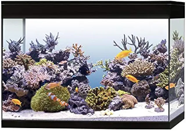 Askoll Aquarium Marin 300L Noir - Cube XL avec Filtration 4 Niveaux et Éclairage LED