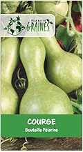20 Pumpkin Seeds - Bottle Gourd - Easy to Grow