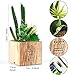 BEGONDIS Set of 3 Artificial Succulents with Led Lights in Wooden Box, Artificial Plants Plastic Fake Topiary for Home/Office Decorations, Table Centerpiece