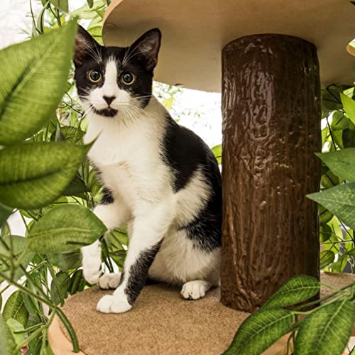 On2 Pets Cat Tree With Leaves Made In Usa, Cat House & Cat Activity Tree, Multi-Level Cat Condo For Indoor Cats #TOP5