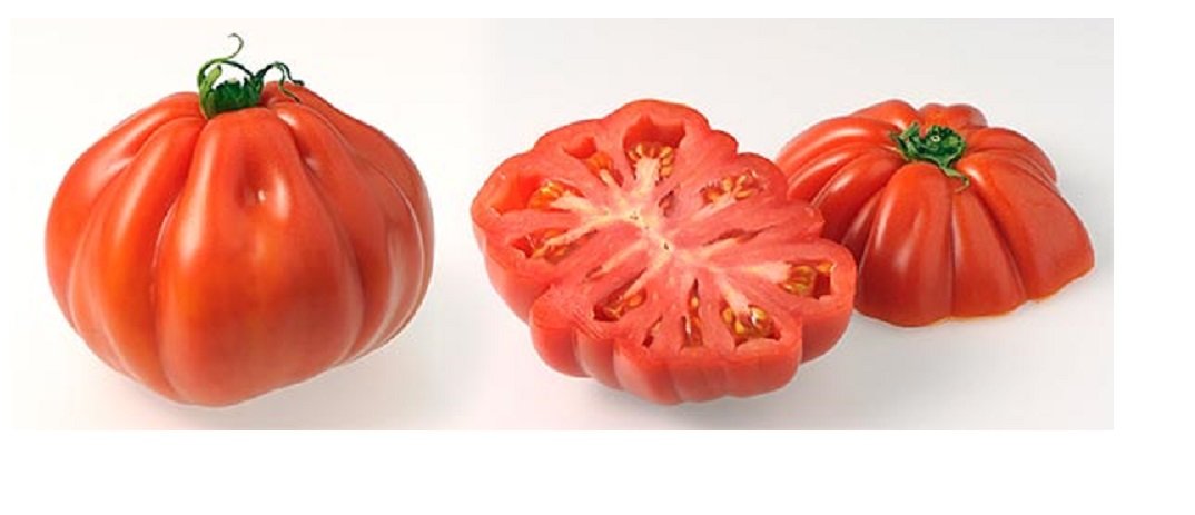 Lot de 50 Graines Potageres - Tomate Coeur de Boeuf rouge fruit legume potager