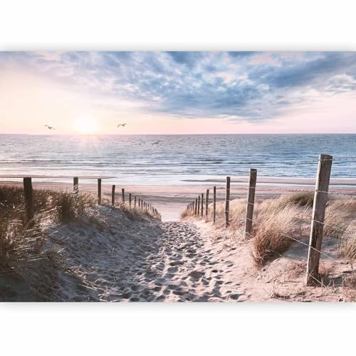 murando Papier peint intissé Plage Mer 250x175 cm Décoration Murale XXL Poster Tableaux Muraux Tapisserie Photo Paysage Oiseau Nature c-C-10032-a-a