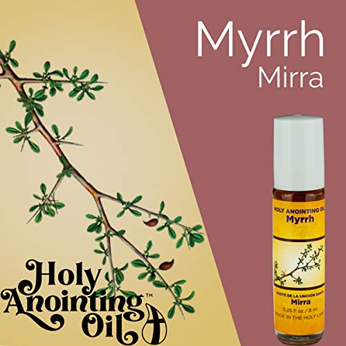 Review de Alcuza aceite - los más vendidos. 13 Imagen adicional