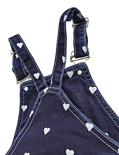 Image of KIDSCOOL SPACE Baby Little Girls Fox Flowers Embroidered Lace Denim Overall Dress