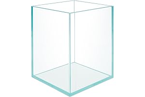 5-Gallon Frameless Modern Glass Aquarium