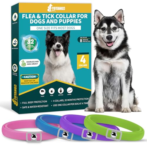 YOTANGO Collares Antiparasitarios para Perros, 32 Meses de Protección, Collar Antipulgas para Perros, 4 Pcs Collar de Pulgas y Garrapatas para Perros de Todos los Tiposs(Rosa, Azul, Violeta, Verde)