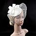 Produktbild Frauenpartei Schleier Fascinator Hut Weinlese-Ineinander greifen-Kopfschmuck-Bankett-Jockey-Hut-Hut-Zusatz-Tiara-Haar-Zusatz-Brauthut Headwear Stirnband-Hochzeits-Ineinander greifen-Federn-Tee-Party-H
